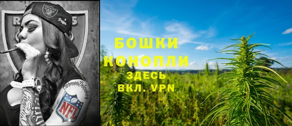 стаф Тавда