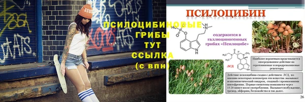 ПСИЛОЦИБИНОВЫЕ ГРИБЫ Балабаново