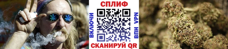 Бошки марихуана гибрид  купить наркотики сайты  Курчатов 